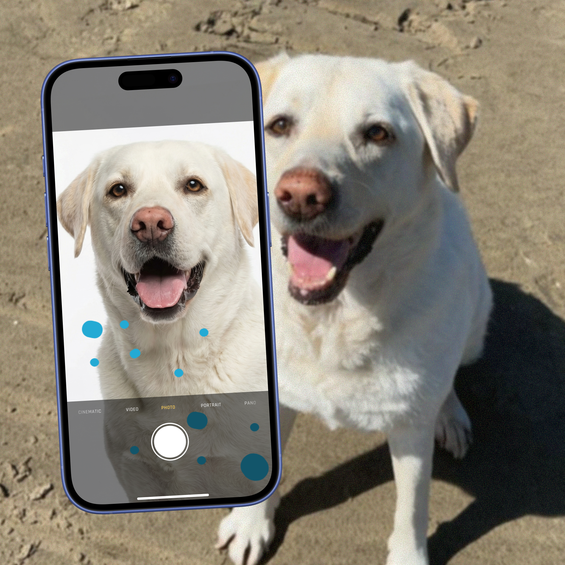 If you're a startup building the next big thing in pet tech or an enterprise transforming operations at scale, TheDogAPI delivers the world-class animal data and trustworthy AI your business needs. Seamless integrations, comprehensive support, and flexible solutions that grow with you.